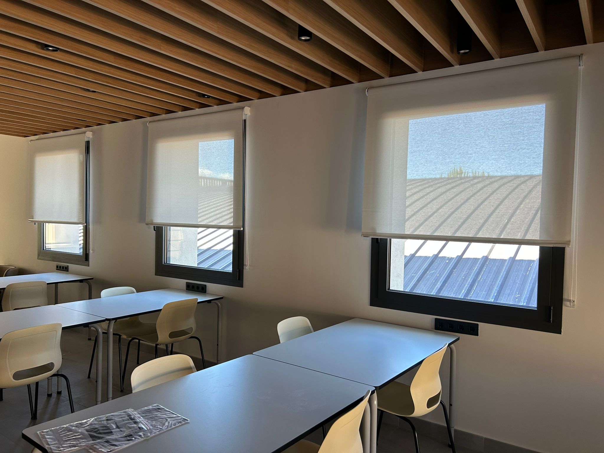 Cortinas enrollables para ventanas de sala. Tejido técnico screen de color blanco